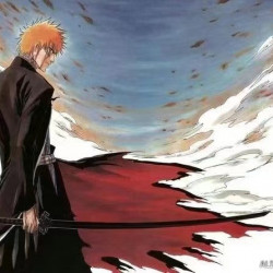 Bleach /sword Handmade / Animation/anupdated version/ Kurosaki Ichigo/ 天锁斩月/ZS80