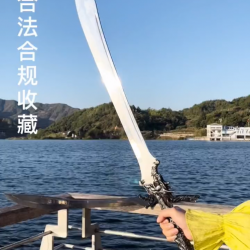 China sword Handmade /functional/sharp/ 龙头大刀/P19